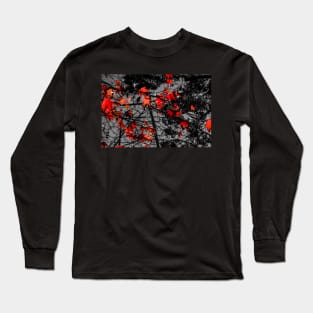 Leaves and light Long Sleeve T-Shirt